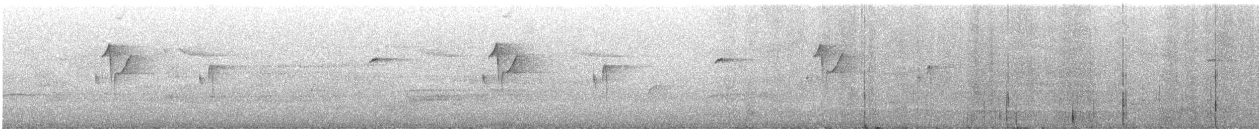 Western Flycatcher (Pacific-slope) - ML638572648