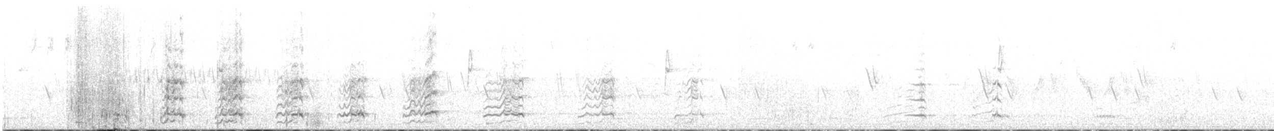 Ahate karolinarra - ML638573079