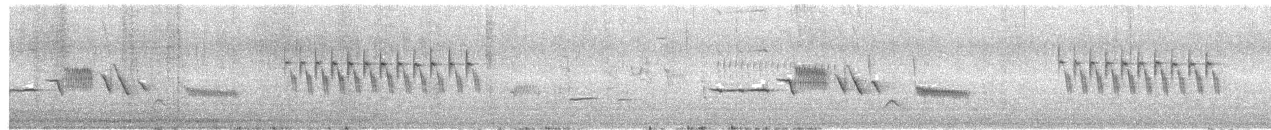 White-crowned Sparrow (oriantha) - ML638573524