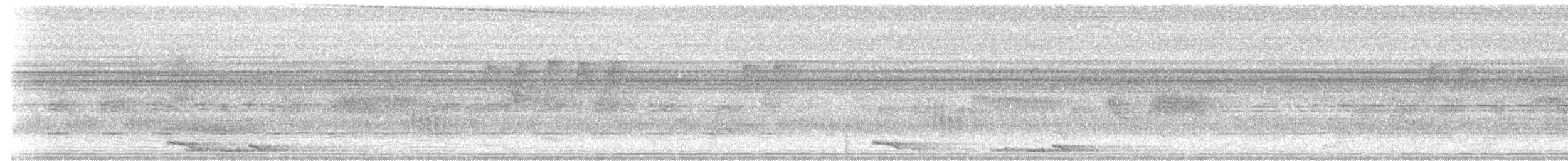 Large Scimitar-Babbler - ML638573676