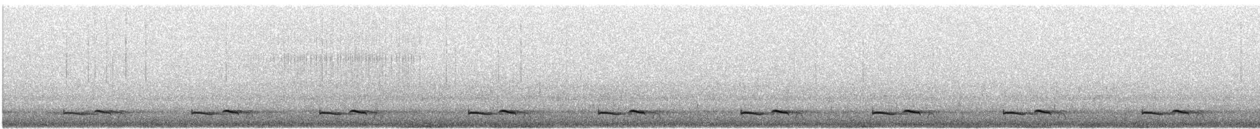 Common Poorwill - ML638573717