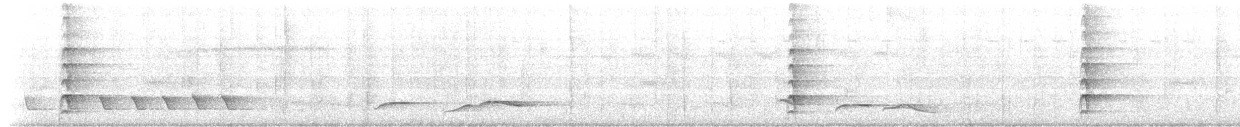 Laced Woodpecker - ML638574107