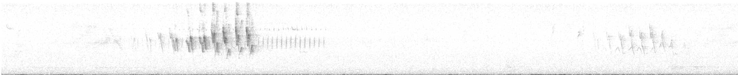 ウィルソンアメリカムシクイ - ML638574479