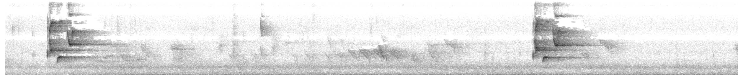Crescent Honeyeater - ML638574588