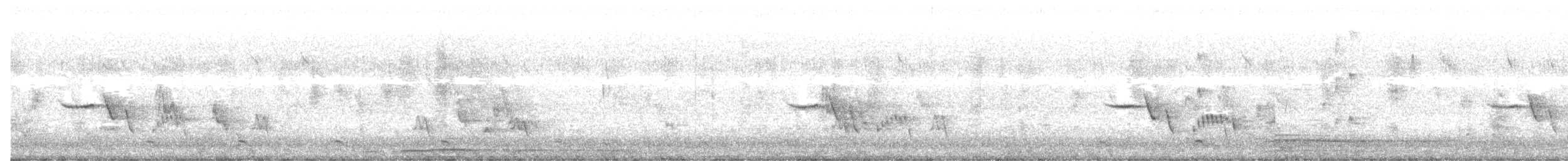 Brown Thornbill - ML638574592