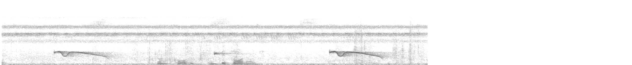 Great Eared-Nightjar (Simeulue) - ML638575052