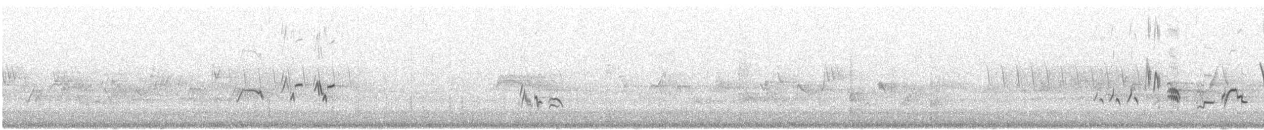 Townsend's Solitaire - ML638575133
