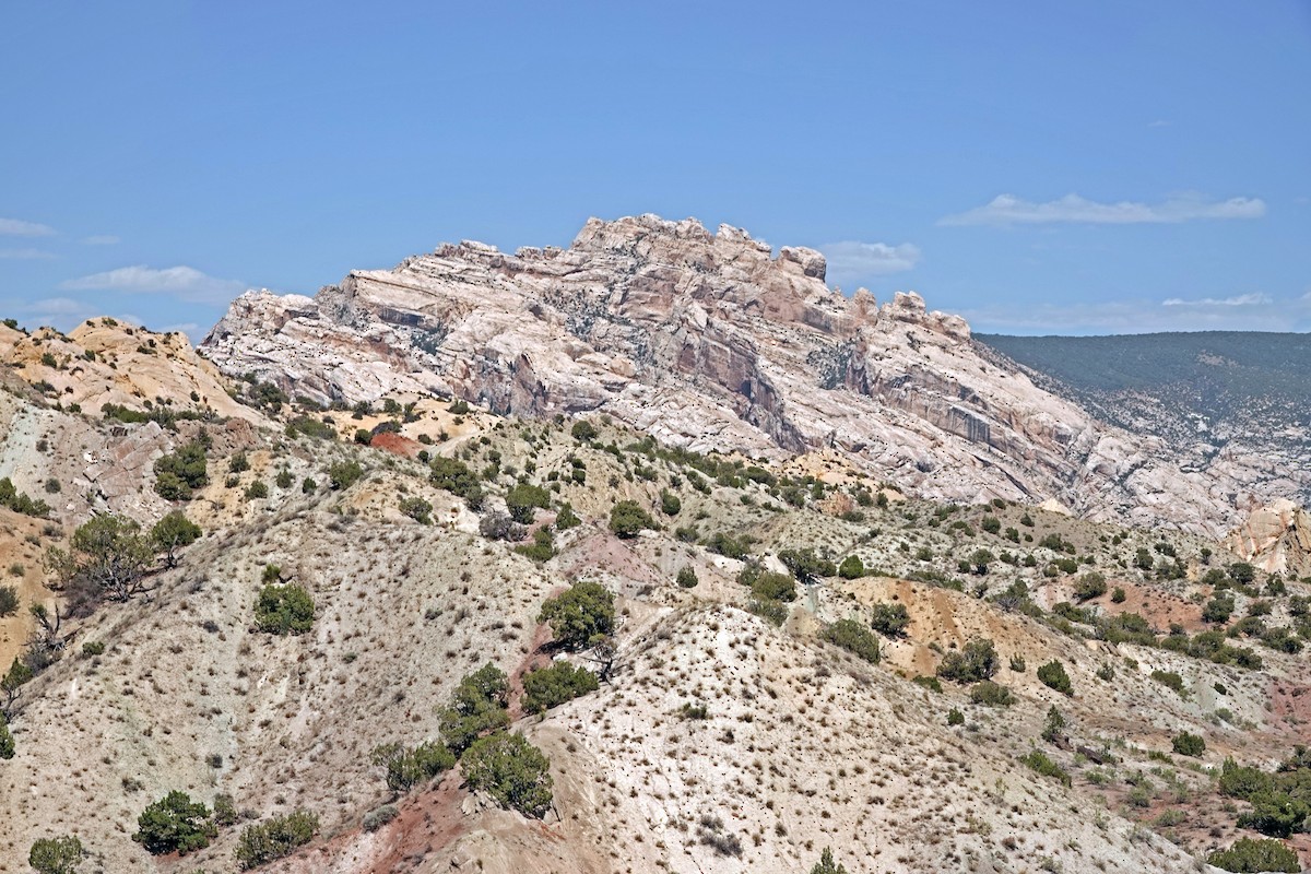null - ML638576567