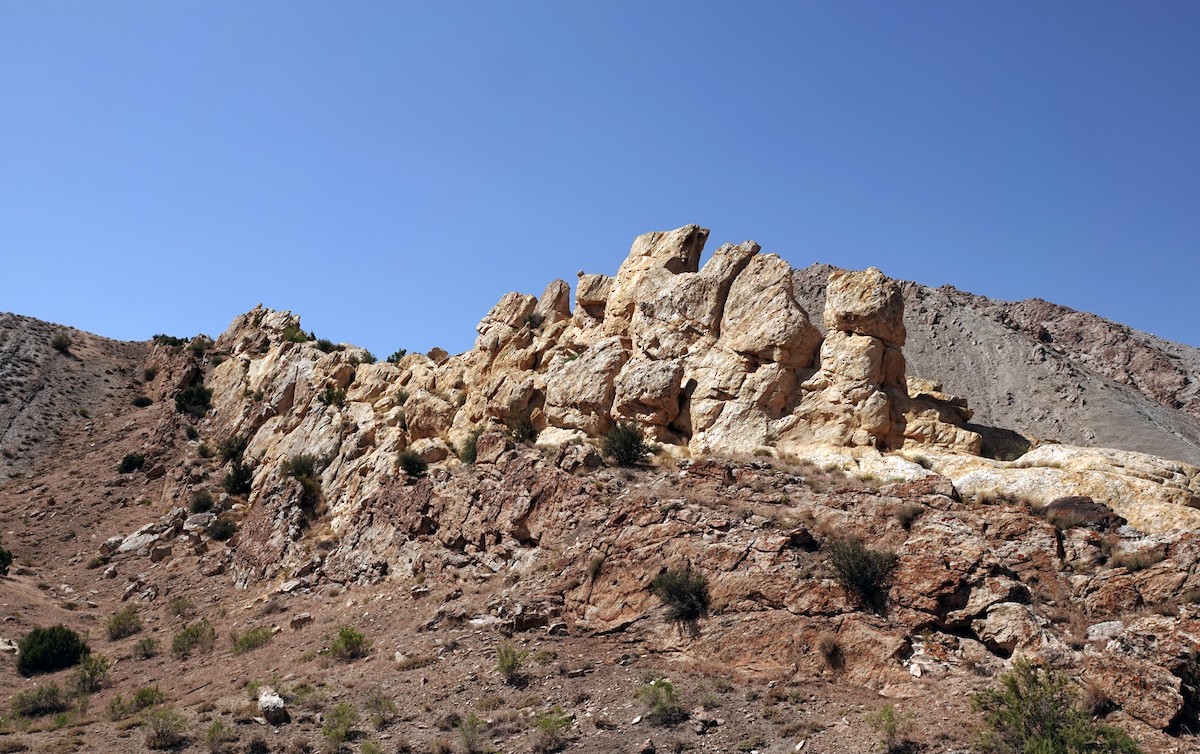 null - ML638576568