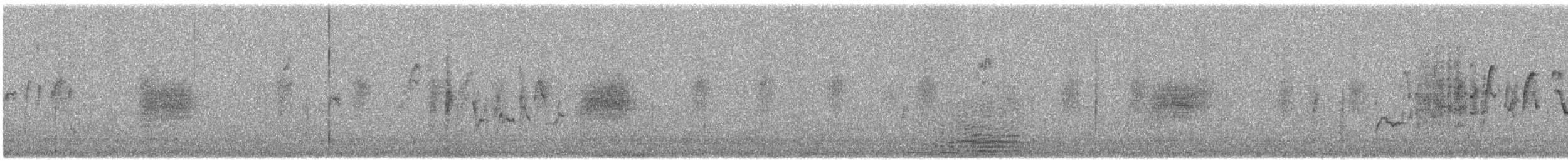 Bewick's Wren - ML638576911