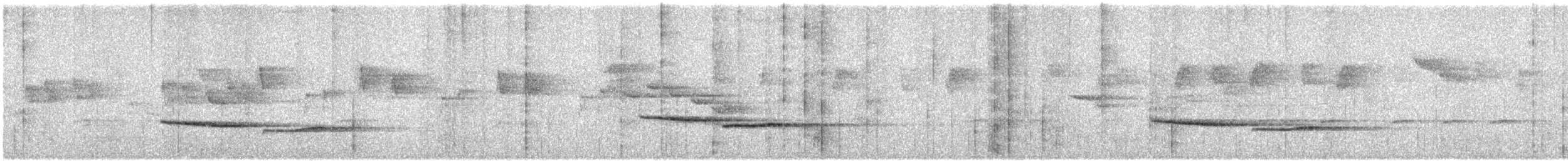 Russet-tailed Thrush - ML638578213