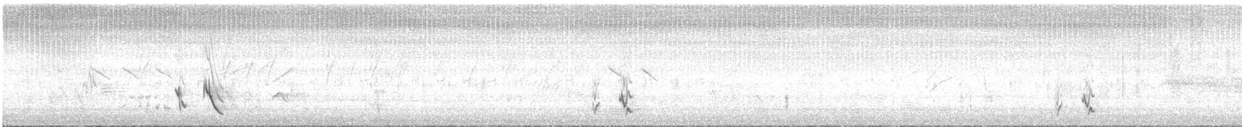 White-browed Sparrow-Weaver - ML638581068