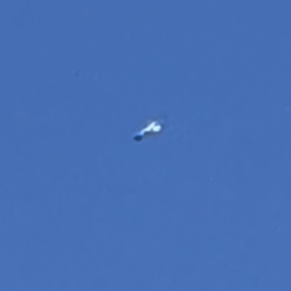 松鴉 - ML638583947