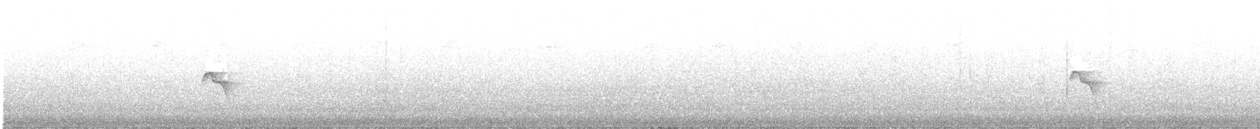 ホオヒゲモズモドキ - ML638584483