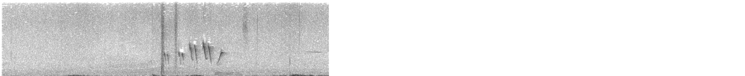 brannfeltparula - ML638585281