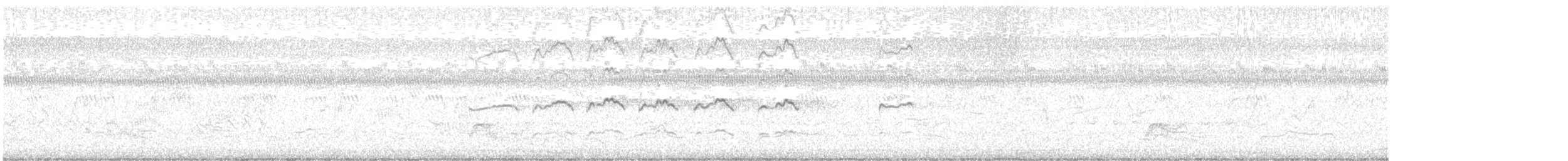 Kildir txirritxoa - ML638585897