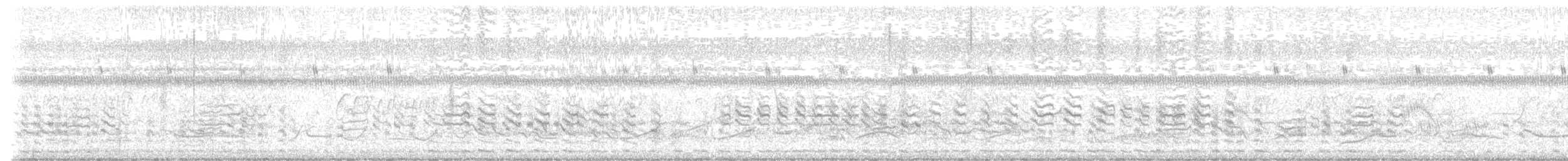 Lesser Nighthawk - ML638585898