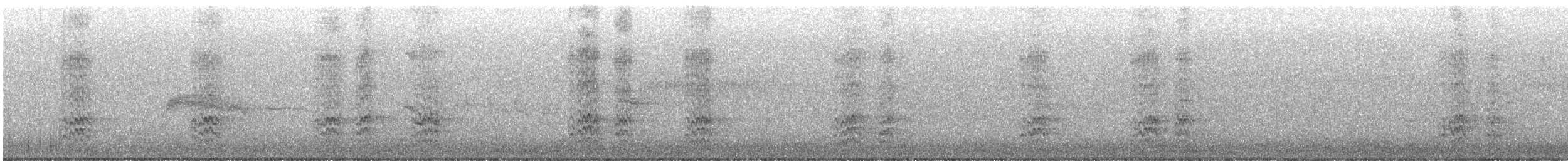 Acorn Woodpecker - ML638587750