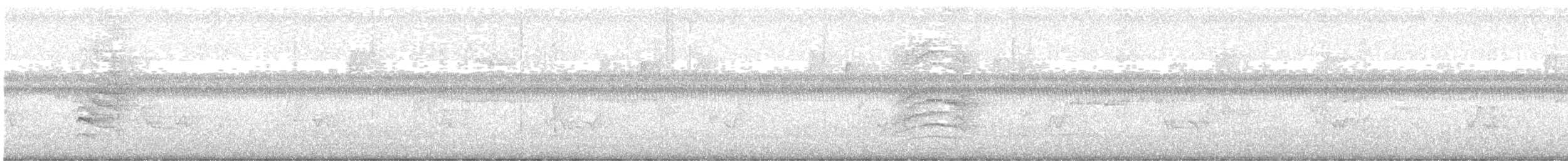 ネコマネドリ - ML638588206