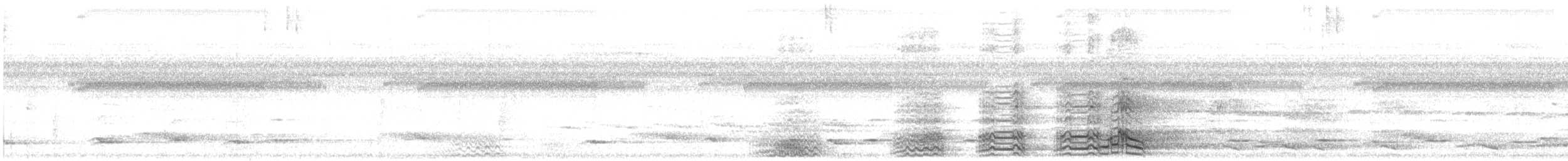 Yellow-crowned Amazon - ML638588213