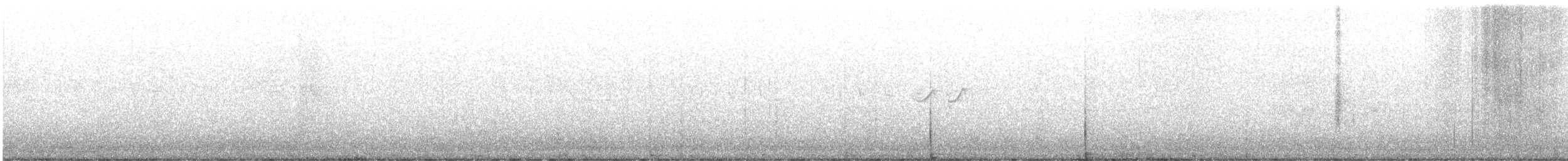 Einsiedelwasserläufer - ML638589396