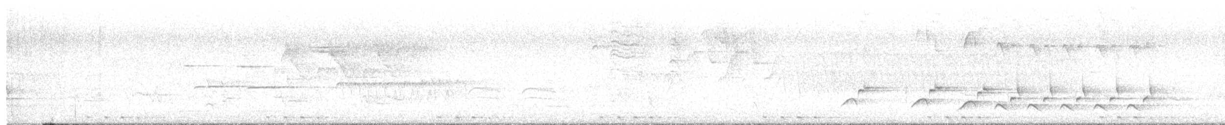 Black-billed Cuckoo - ML638590498