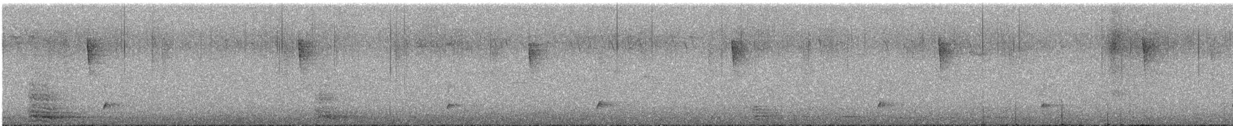 Swainson's Thrush - ML638592113