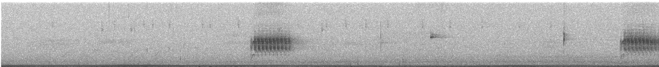 Spotted Towhee - ML638592713