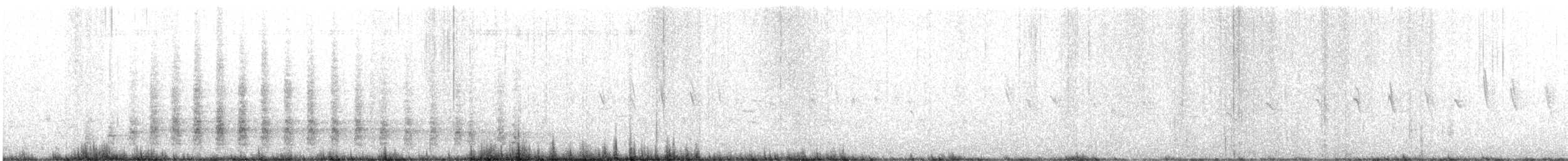 svartbrystfrankolin - ML638593022