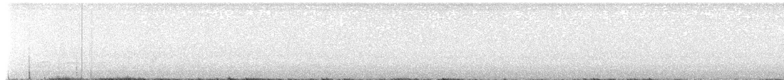 סבכון אורנים - ML638593707