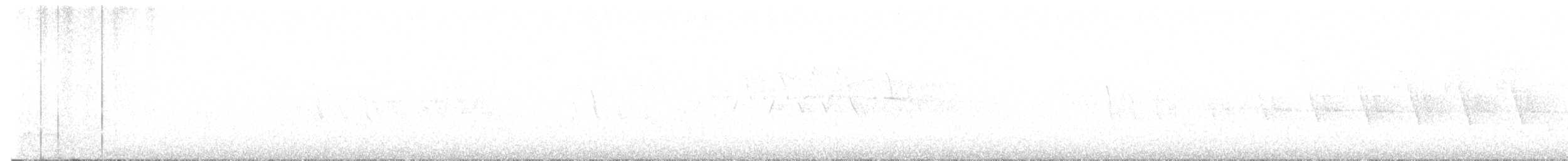 Black-throated Green Warbler - ML638593952