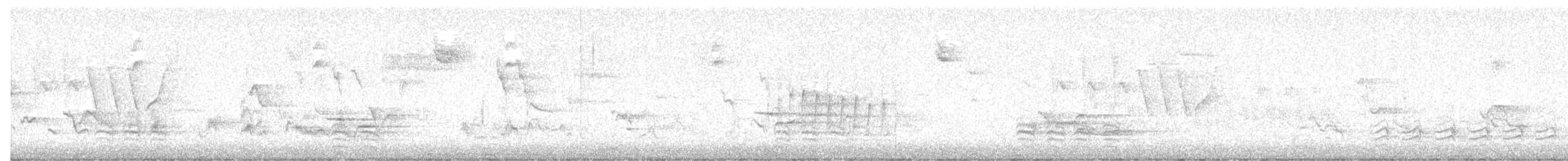 Weißbrustkleiber - ML638596140