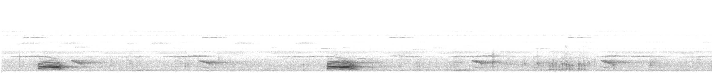 Broad-billed Motmot - ML638598438