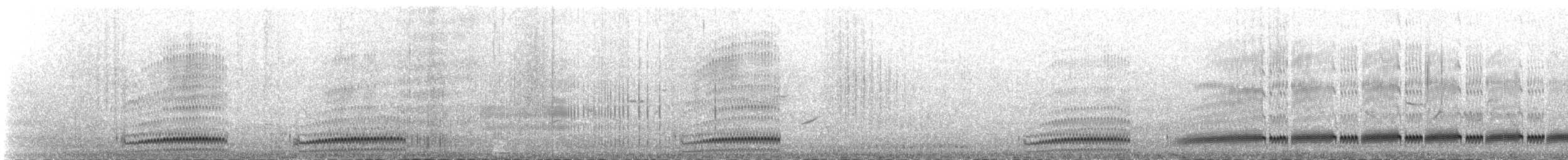 チシマシギ（ptilocnemis） - ML638600572