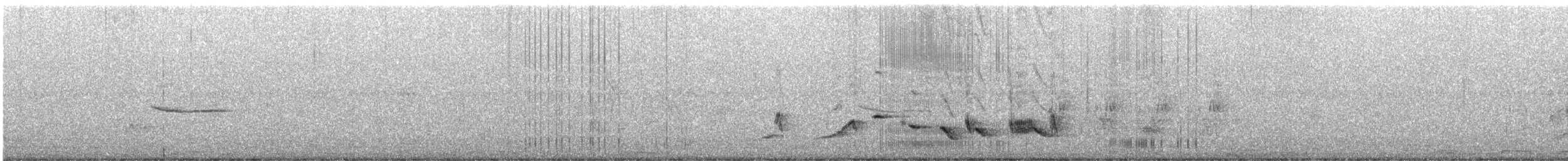Scott's Oriole - ML638600992