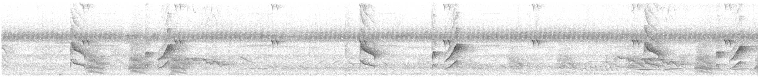 Plain-crowned Spinetail - ML638603584