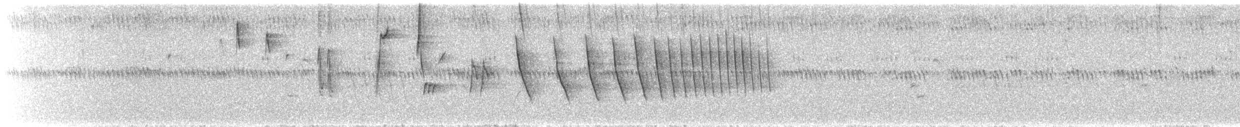 Streifenrückenammer - ML638603928