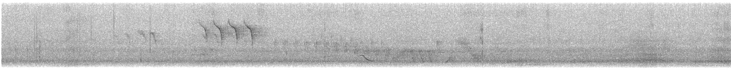 灰鶺鴒 - ML638604349