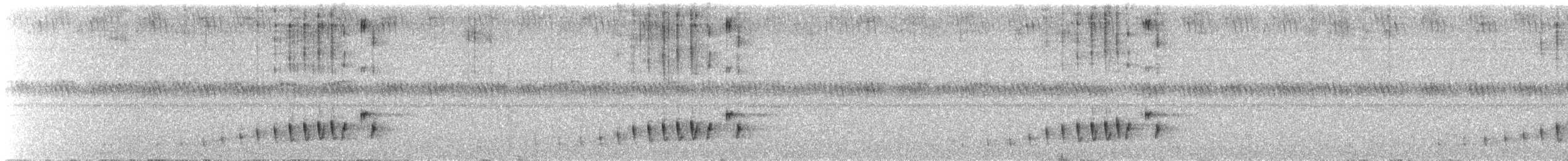 Buff-collared Nightjar - ML638604894