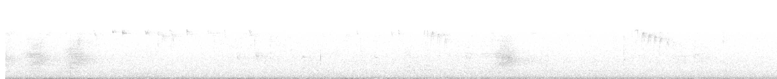 Common Raven - ML638604940