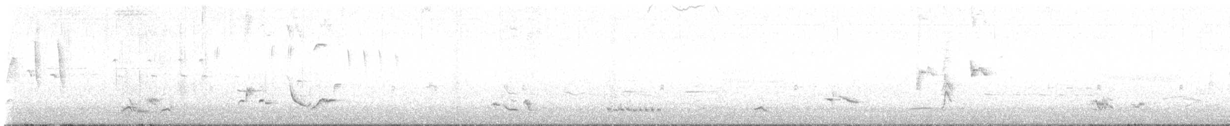 Brown Thrasher - ML638605021