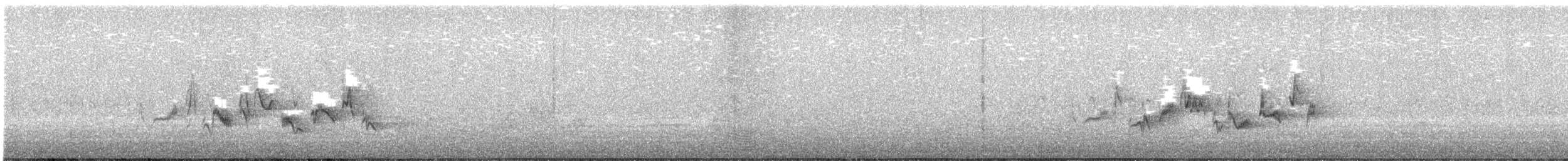 Warbling Vireo - ML638605603