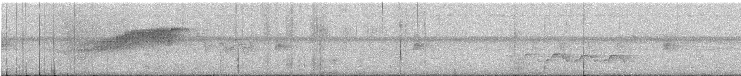 Northern Parula - ML638606211