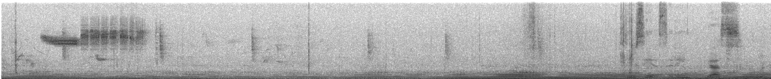 Lawrence's Warbler (hybrid) - ML638606695