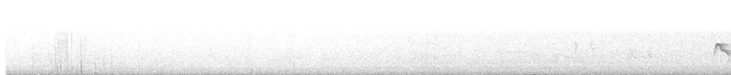Caribbean Elaenia - ML638607258