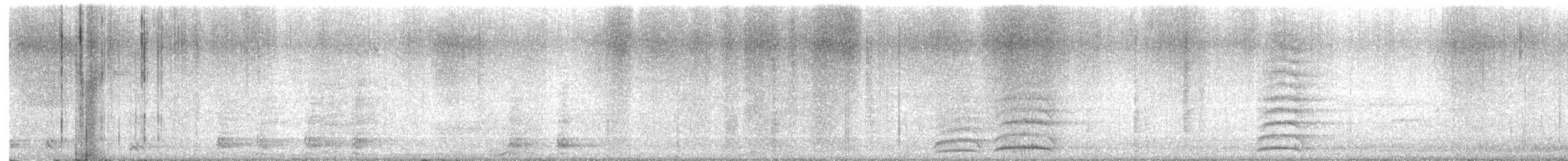 Common Raven - ML638609249