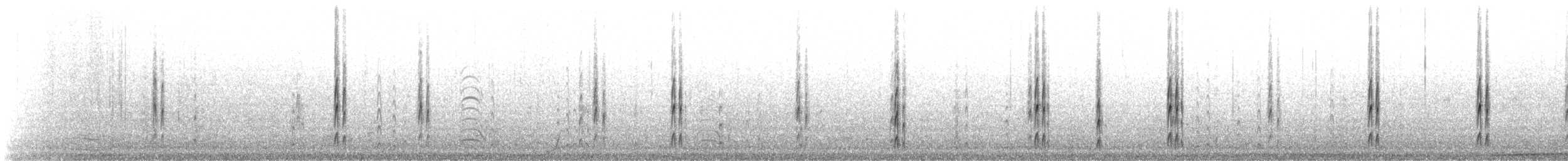 Нарийн сэлээхэй - ML638609294