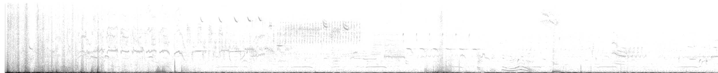 Forster's Tern - ML638609348