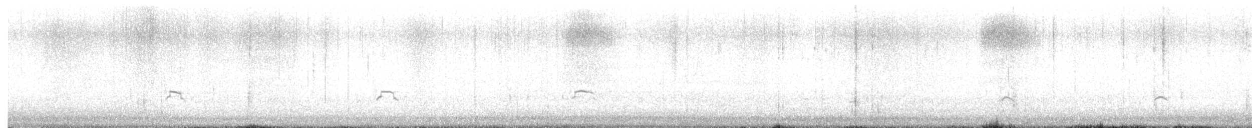 marmordvergteist - ML638609394