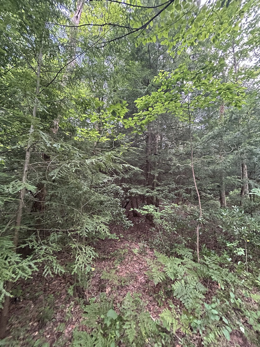 null - ML638610440